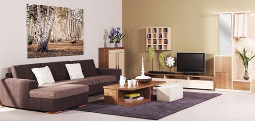 家具清洁保养指南 擦拭家具的技巧与要点